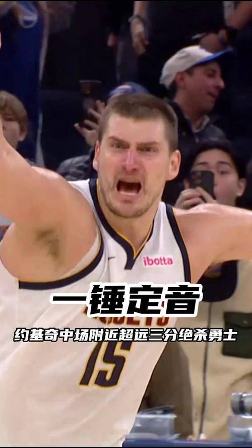 湖掘大战后拳击球迷!约基奇大哥承认两项指控被判处一年缓刑